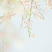 憨痴痴的头像-54资源网