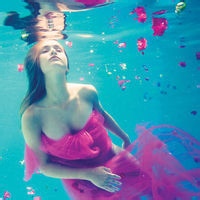 贡眉雅集的头像-54资源网