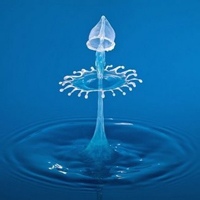 烟村四五的头像-54资源网