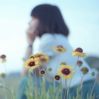 NovaBlitz的头像-54资源网