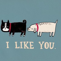 孤月无侣的头像-54资源网