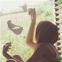 孤心向月的头像-54资源网