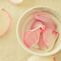 梦中说梦的头像-54资源网