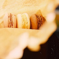 杜鹃的头像-54资源网