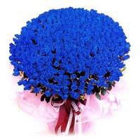 龙之法师的头像-54资源网