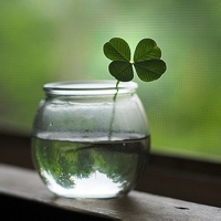 清茶伴书的头像-54资源网