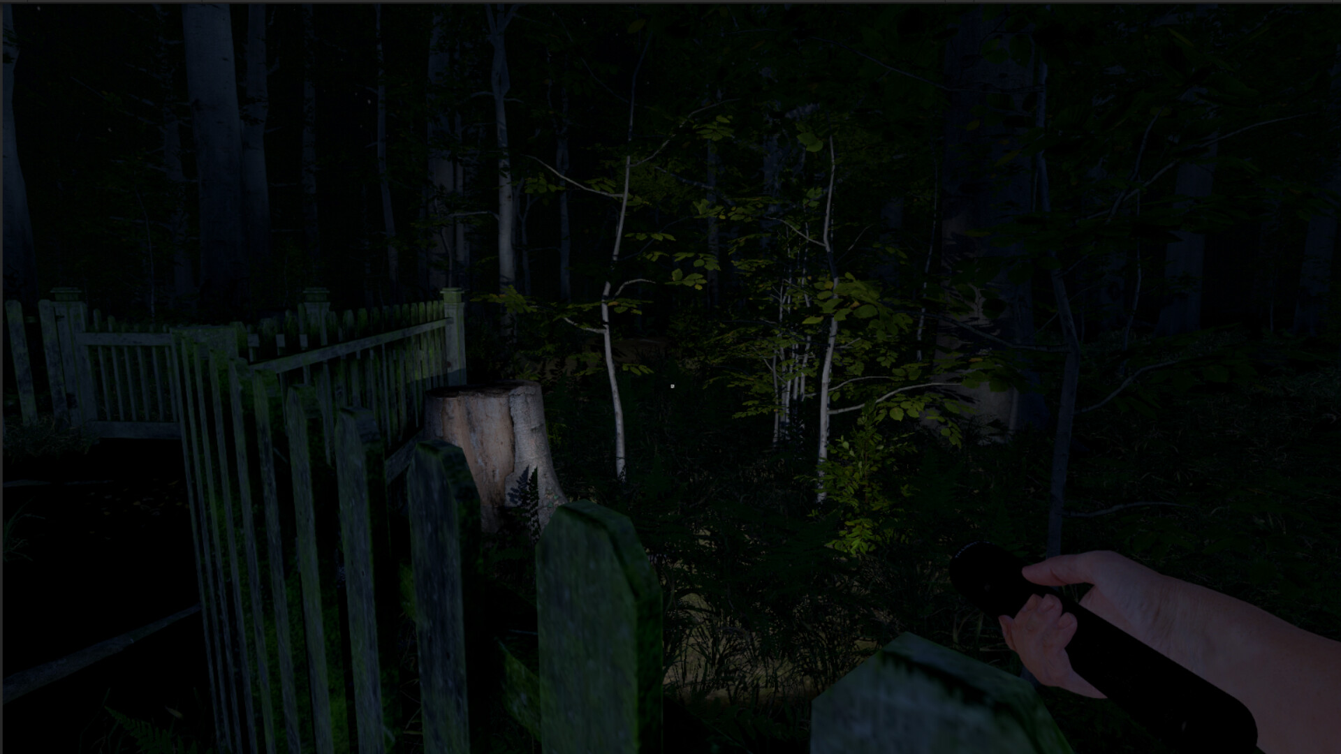 灰人：人类绑架/The Greys: Human Abductions-54资源网