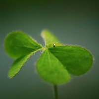 VoidBinder的头像-54资源网