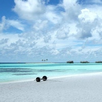 话少小鱼的头像-54资源网