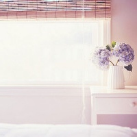 绝夜的头像-54资源网