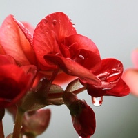 幻月游侠的头像-54资源网