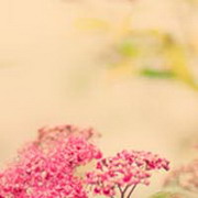 炫彩人生的头像-54资源网