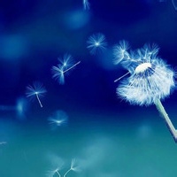 萌兔叽的头像-54资源网