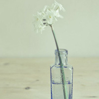 相柳毒的头像-54资源网