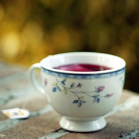 血月狐影的头像-54资源网