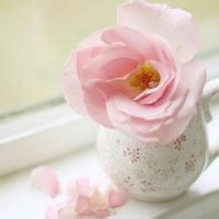 表情包大师的头像-54资源网