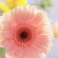 烈焰剑圣的头像-54资源网