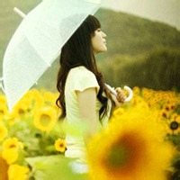 柳絮飘飘的头像-54资源网