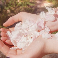 暗巷诗人的头像-54资源网