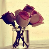 铁皮罐头的头像-54资源网