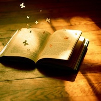 夕雾子的头像-54资源网