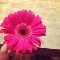 冷笑话终结者的头像-54资源网