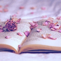 度恨菩提的头像-54资源网