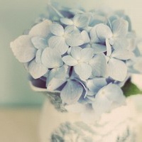 豆豆小仓鼠的头像-54资源网