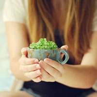 团团小海豹的头像-54资源网