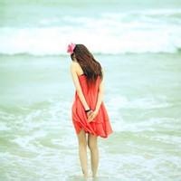 独行狐影的头像-54资源网