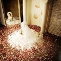 跳舞的玉米的头像-54资源网