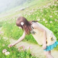 应龙振翼的头像-54资源网