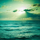 昨日书签的头像-54资源网