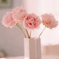 晨光微露的头像-54资源网